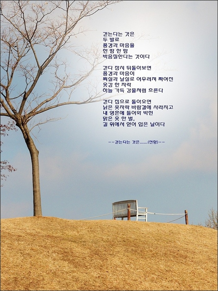 걷는다는 것은......(전향)