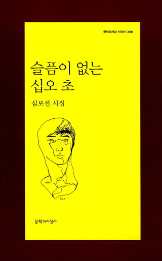 심보선 시집 『슬픔이 없는 십오 초』