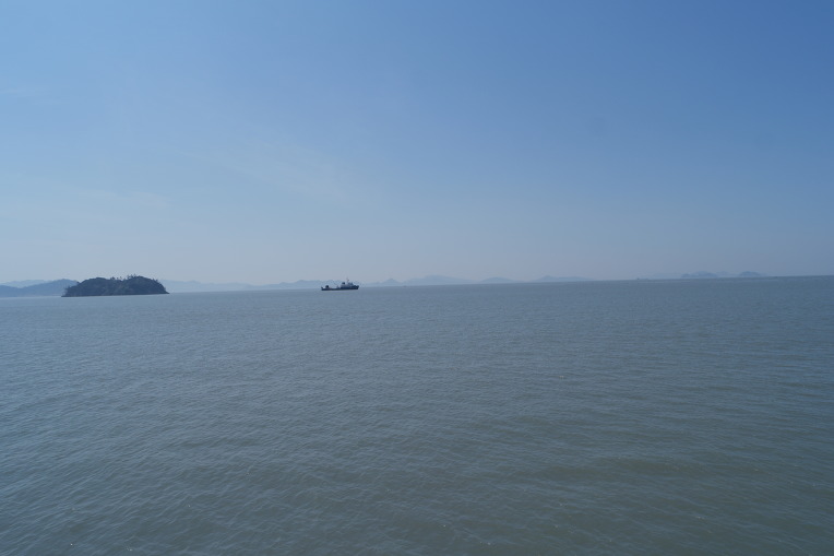 세월호와 단원고 학생들