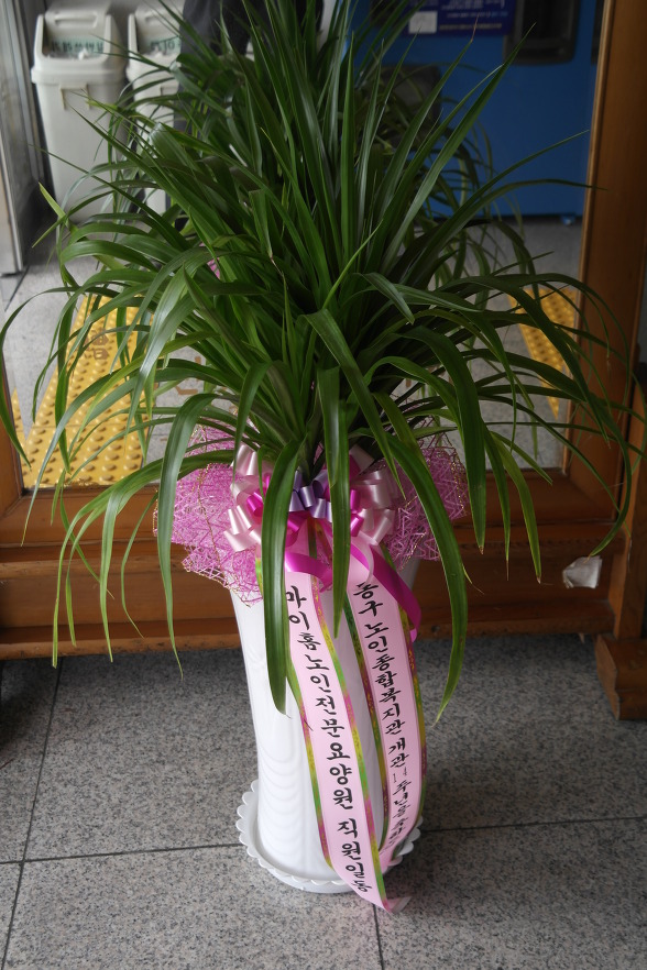 동구노인종합복지관 이미지