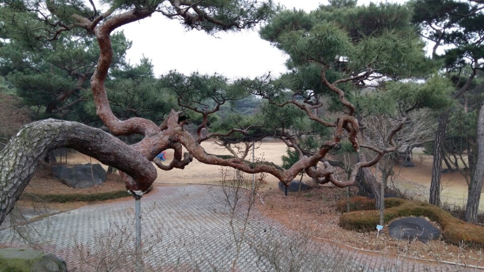 금빛투어 이미지