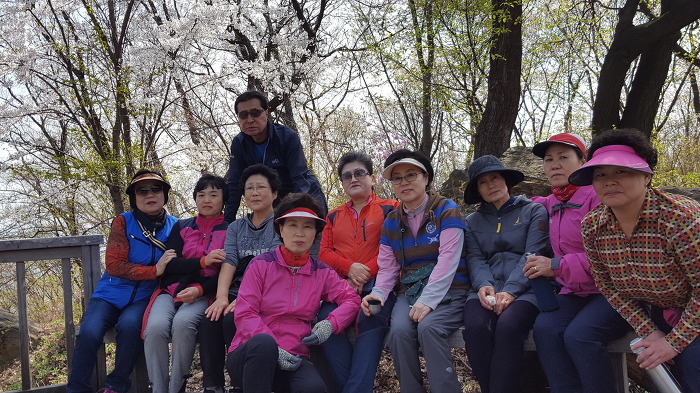 중구회현센타 스트레칭회원과함께 남산 꽃길을 걷다.