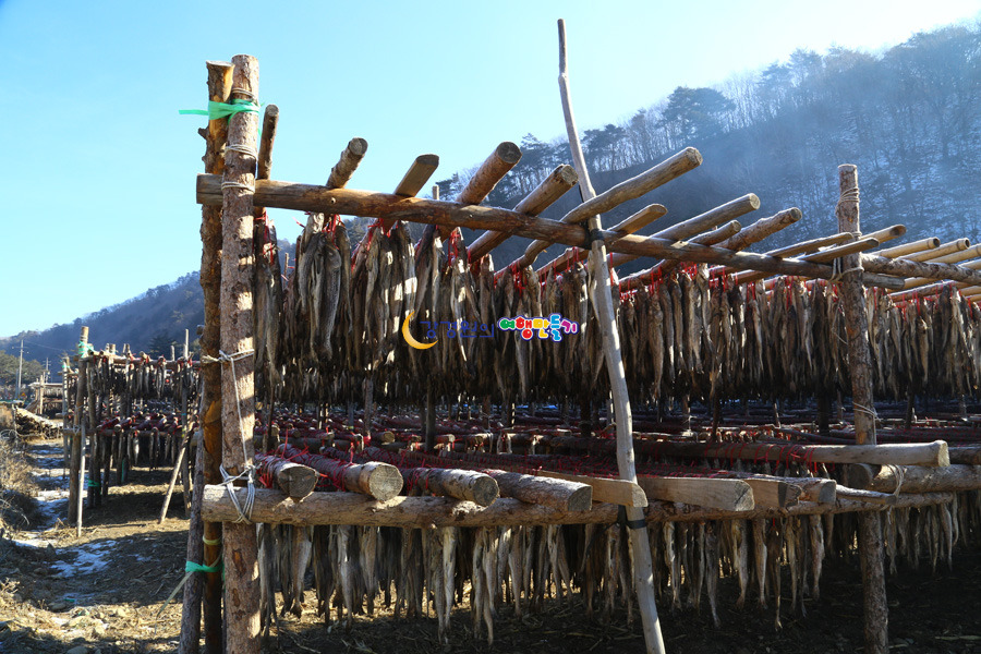 하늘황태덕장 이미지