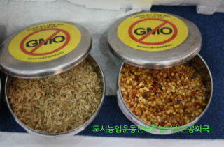 유명 맛집 방송 착한식당 삼계탕과 닭 백숙