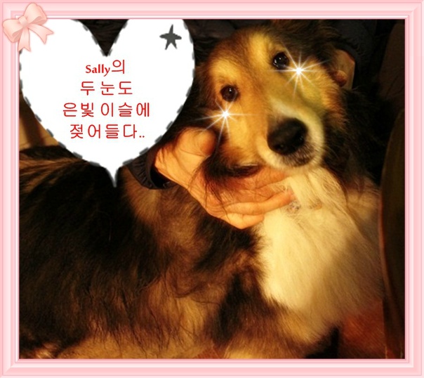 이슬찻집 이미지