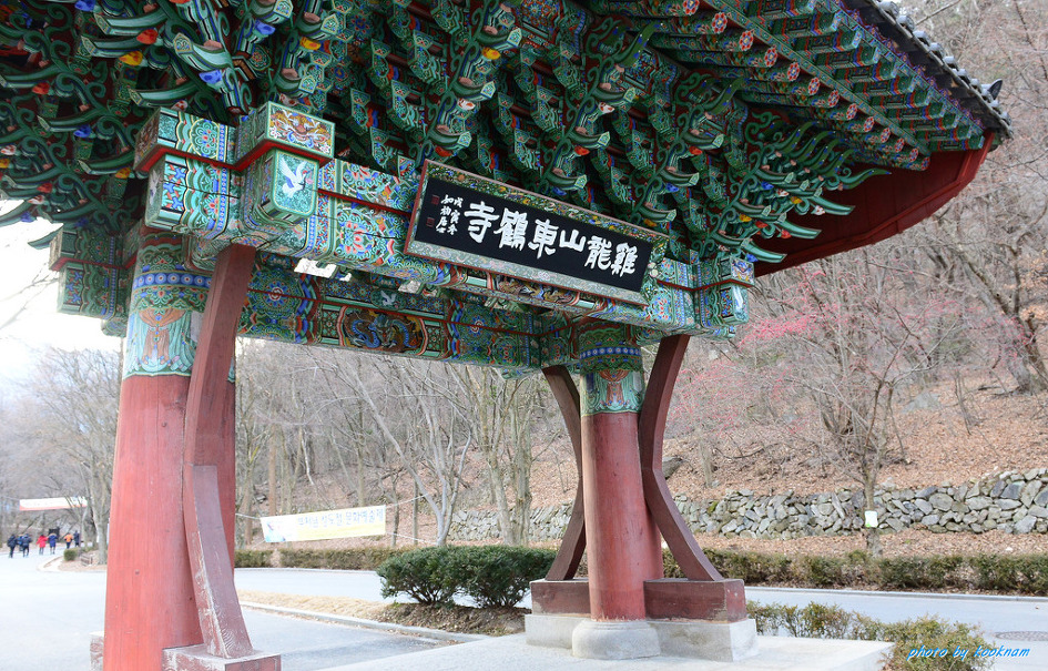 계룡산의 겨울(16.1.8)
