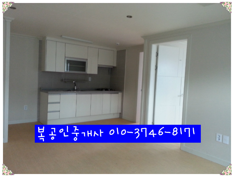 대전서구원룸임대,서구내동원룸/투룸임대.내동상가주택매매.﻿