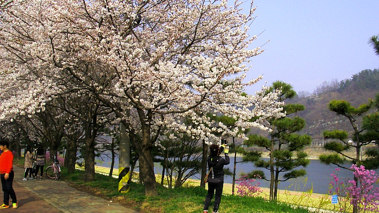 2571FB46551902AF0DA029