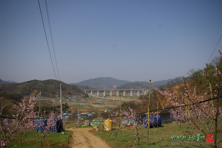 무릉도원 이미지