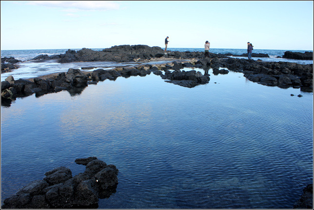 2577624C545A1DCF2D8451