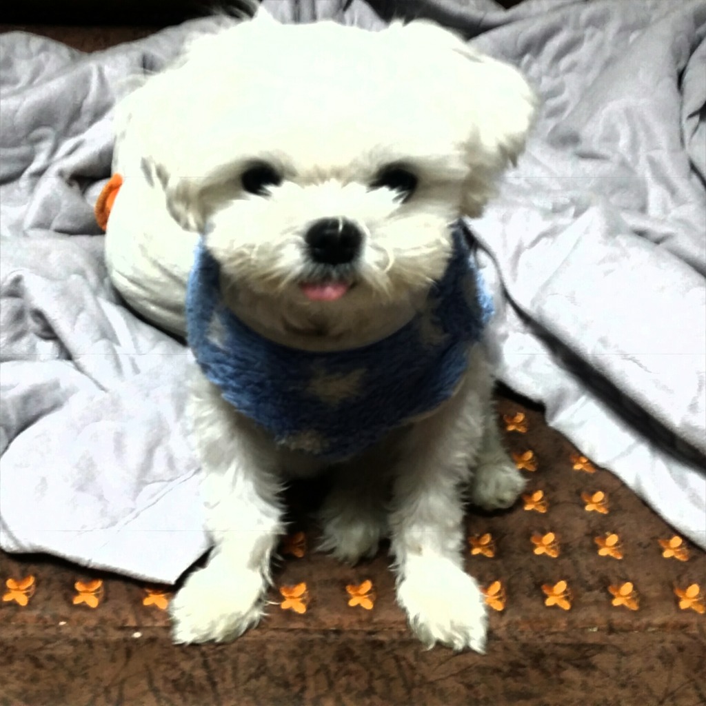 다모아헬스케어 이미지