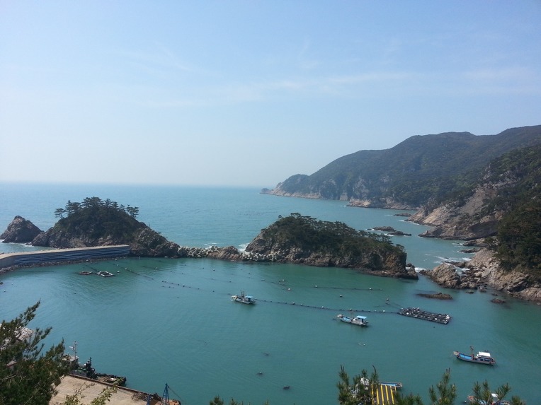 홍도 이미지