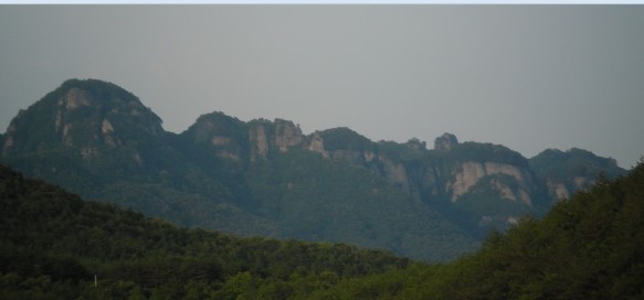 매실 농장에서 바라본 청량산
