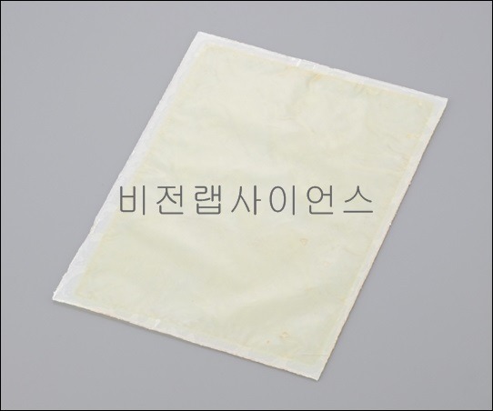 보수시트 SHEET