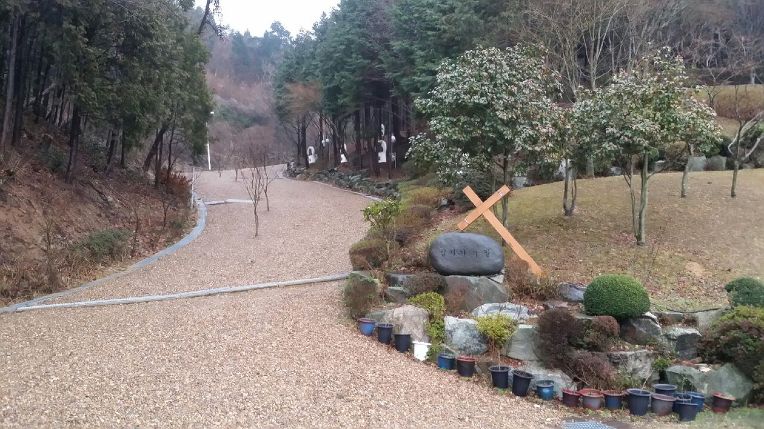 26158B3D56DC5E6B2B2ACC