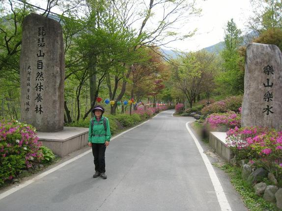 비슬산 참꽃