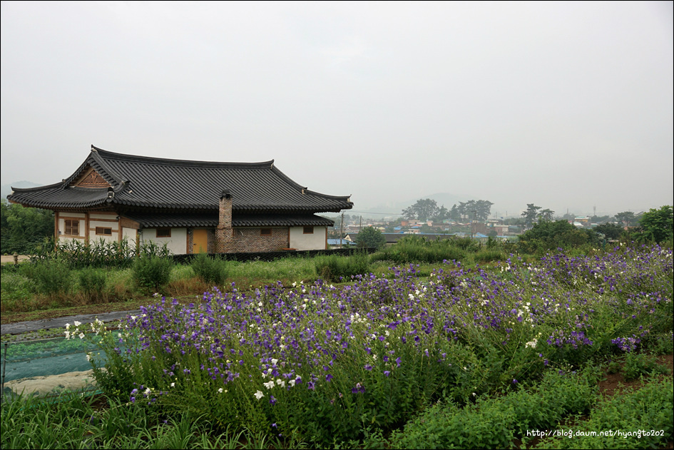 삼천포교구 시일 설교 이미지