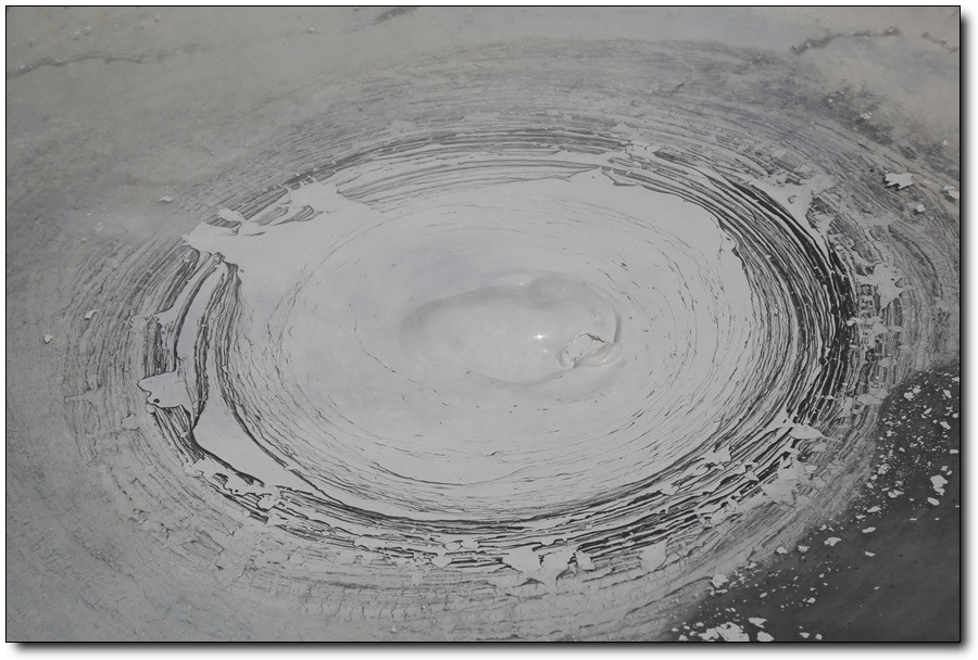 [일본큐슈여행] 벳푸지옥순례에서 악어도 만나고 스님도 만나고~