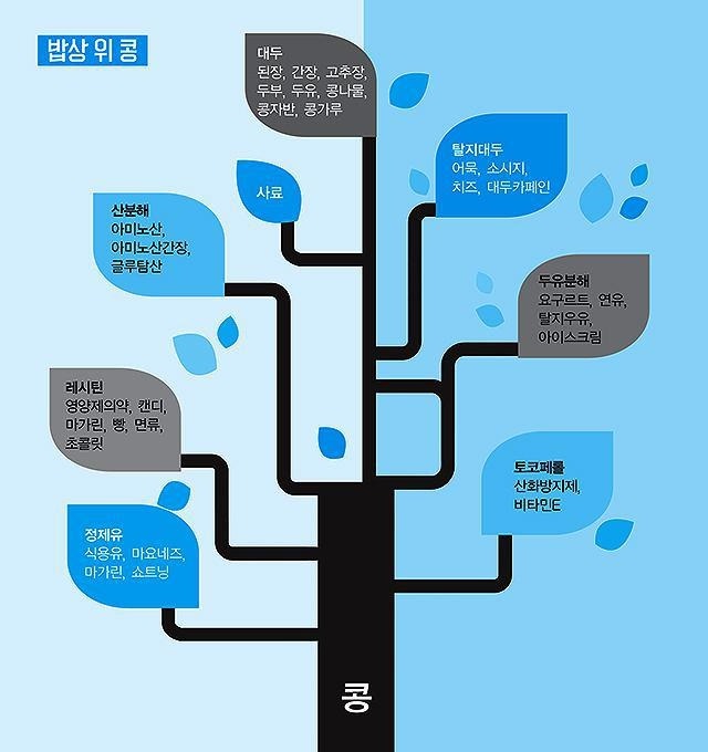 엘레나의원 이미지