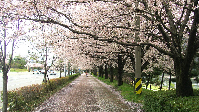 263CEC4A570221B6099843