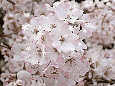 2655E04754E53C9C248EF6