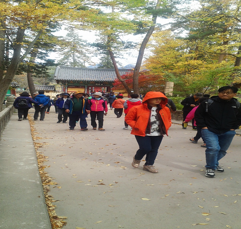 속리산의 단풍