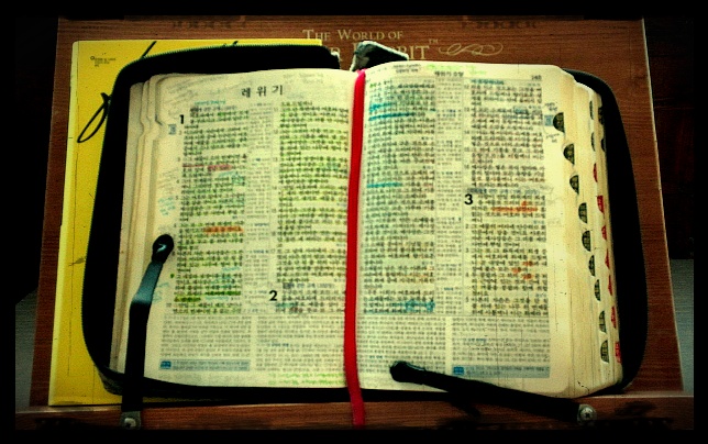 레위기 설교 개관 - 레위기 주일학교 설교 준비하기