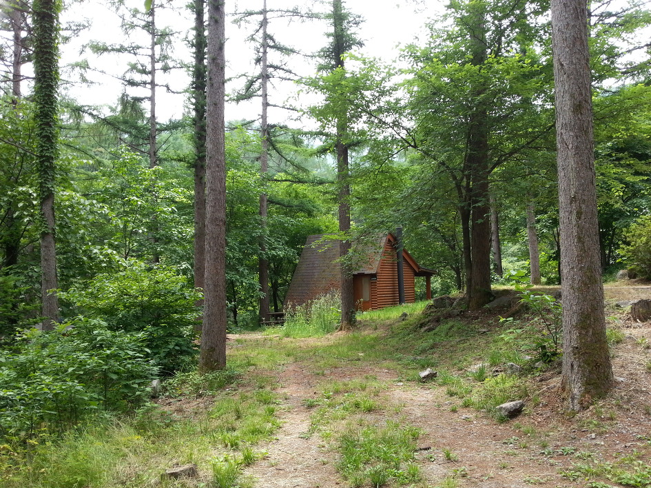 유명산자연휴양림 이미지