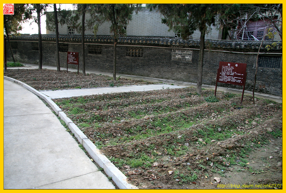 화타가 기가막혀~~