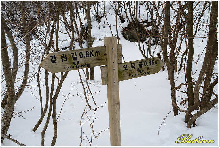능경봉, 고루포기산 눈꽃산행_20130217