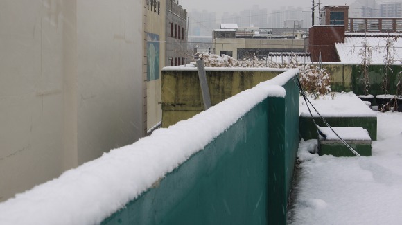 눈이 내리던 오후...(In the afternoon of snow)