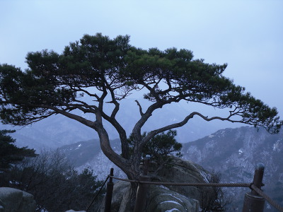 [기초생활영어]
