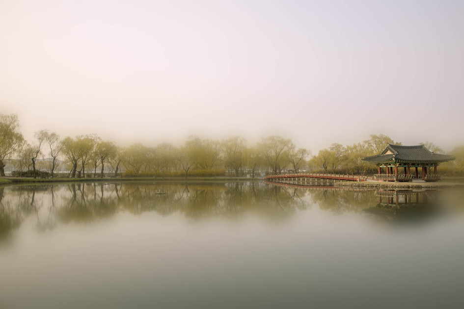 궁남지의 봄이 오는 소리