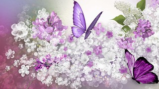 927 쫀쫀 밴딩 레깅스