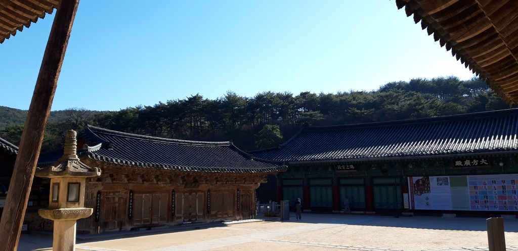 솔향 그윽한 통도사