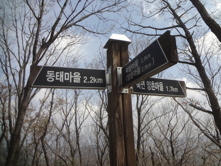 리라자연생태유치원 이미지