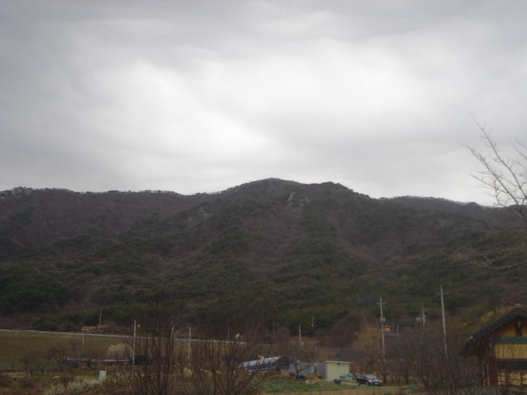 4월1주/산냥이 소식/19