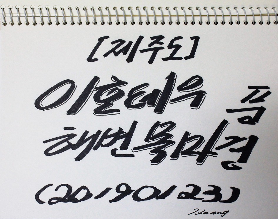 [제주도]  이호테우 해변 목마 풍경   (20190123)