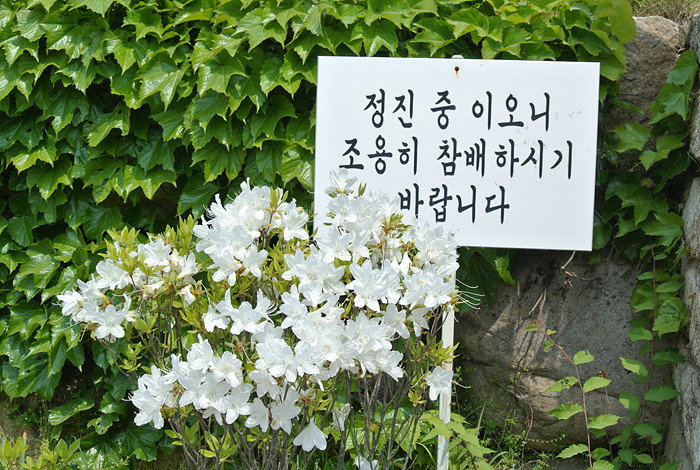 원본이미지(클릭)