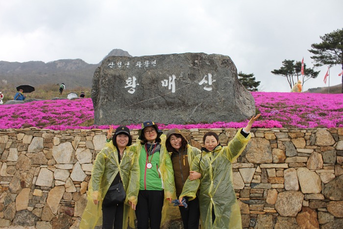 원본이미지(클릭)