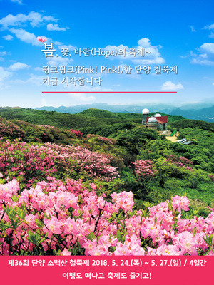 제36회 소백산 철쭉제 / 충북 단양 가볼만한 곳 / 충북 5월 축제 / 충북 가족 여행지