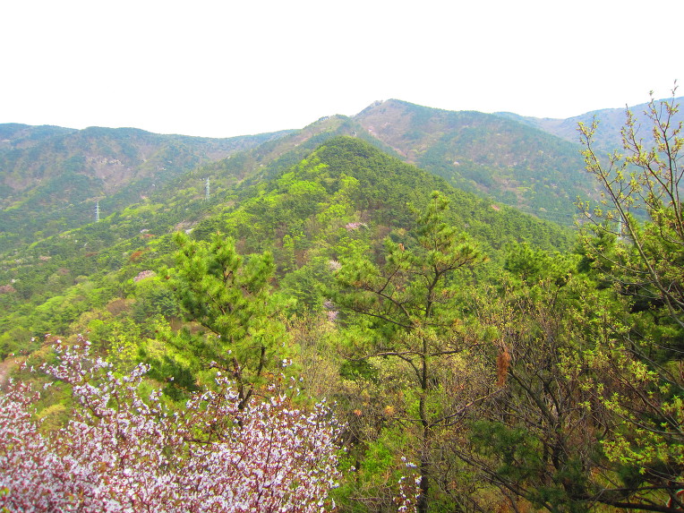 부산 해운대 장산(2019. 04. 08)