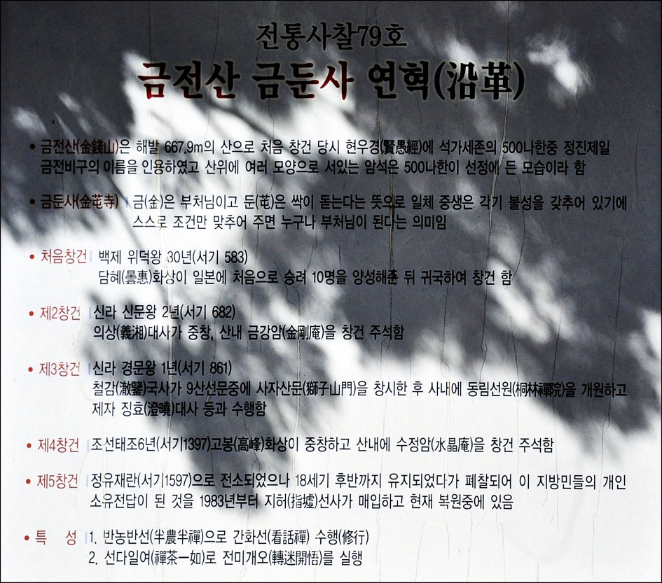 [순천] 봄의 전령사 금둔사 납월매