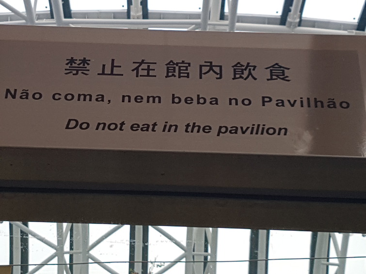 [마카오 Macao 澳门 여행] Giant Panda Pavilion 자이언트 판다 파빌리온