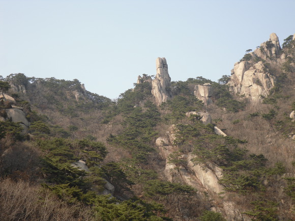 낙관성이 부와 건강을 결정한다 