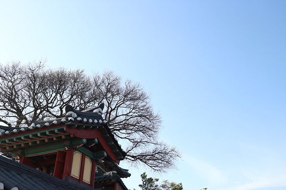 원본이미지(클릭)