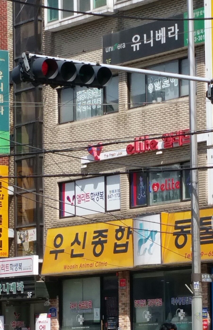 2019. 4. 5(금)말티즈 믹스견 모세군 병원2차