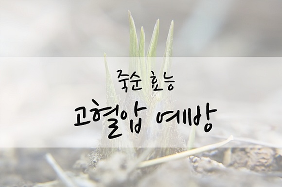 건강에 좋은 죽순 효능