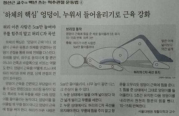 간단한 동작 허리 강화...