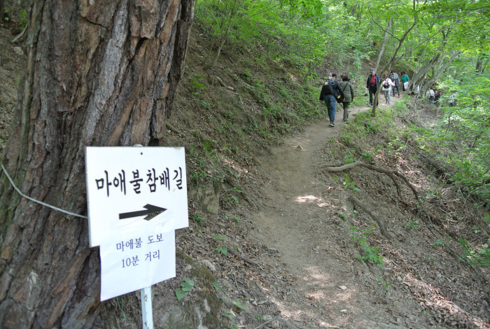 원본이미지(클릭)